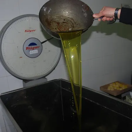 빌라 Del Rio