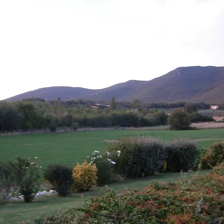 Del Rio 몬테키오